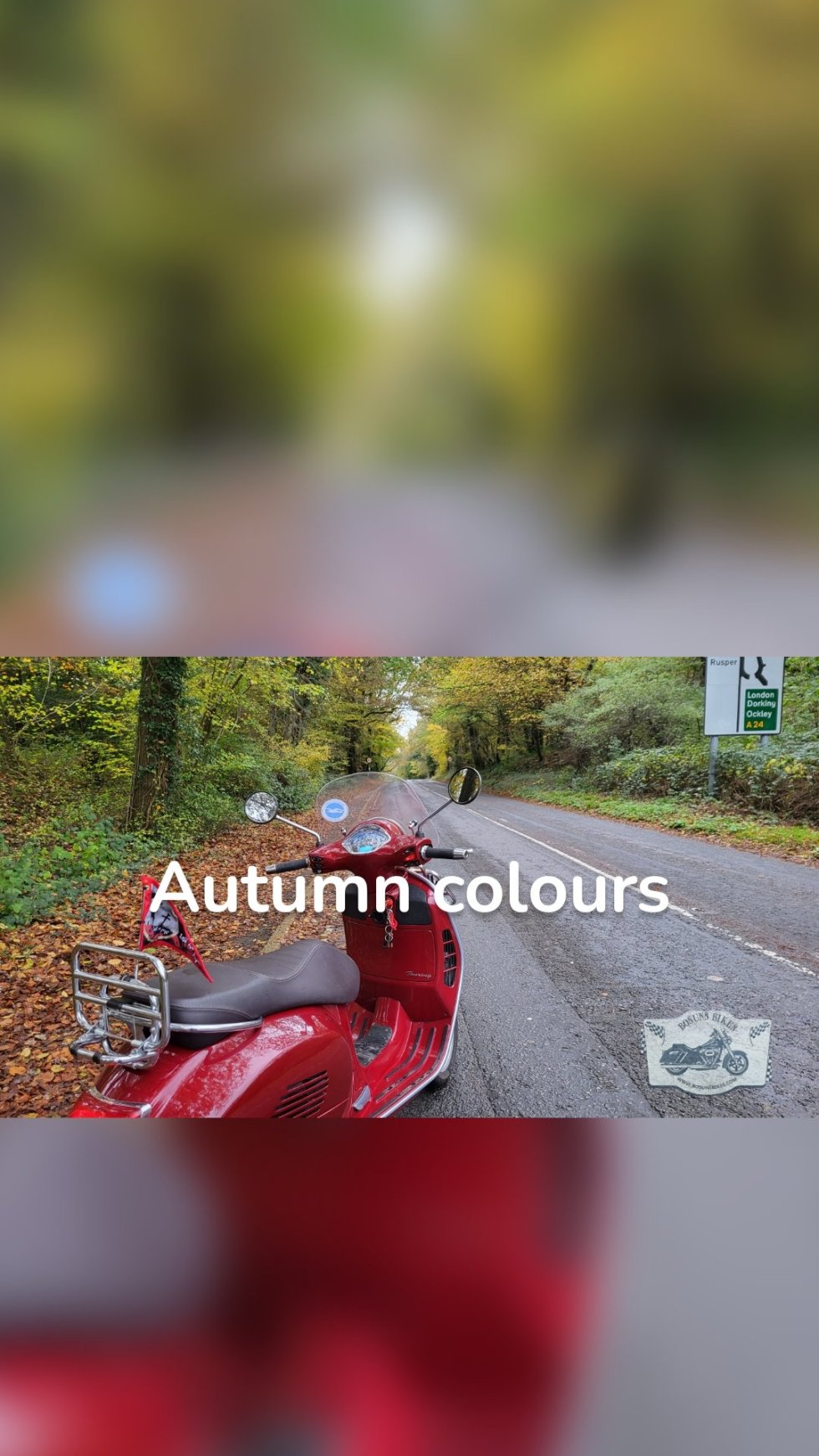 Autumn colours